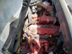 2023 International MV607