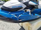 2019 Sea Doo GTX 155