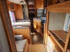 2006 Forest River Wildcat