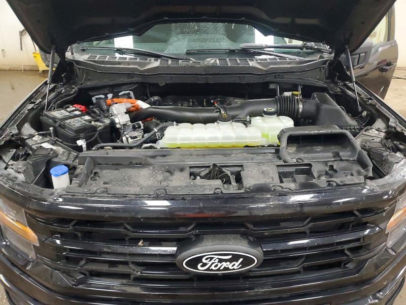 2025 Ford F150 XLT