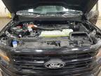 2025 Ford F150 XLT