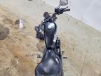 2020 Harley-Davidson XL883 N