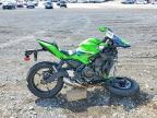 2026 Kawasaki EX650 P