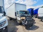 2025 International MV607 BOX Truck