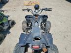 2011 Taotao 2011 ATV