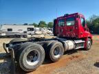 2013 Freightliner Cascadia 113