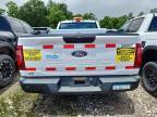 2024 Ford F150 XL