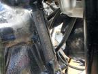 2020 Triumph Scrambler 1200 XC