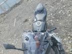 2025 Kawasaki EX500 A