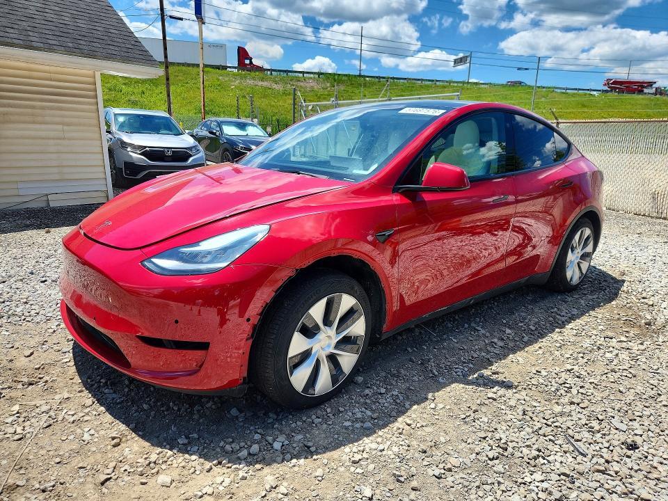 2021 Tesla Model y