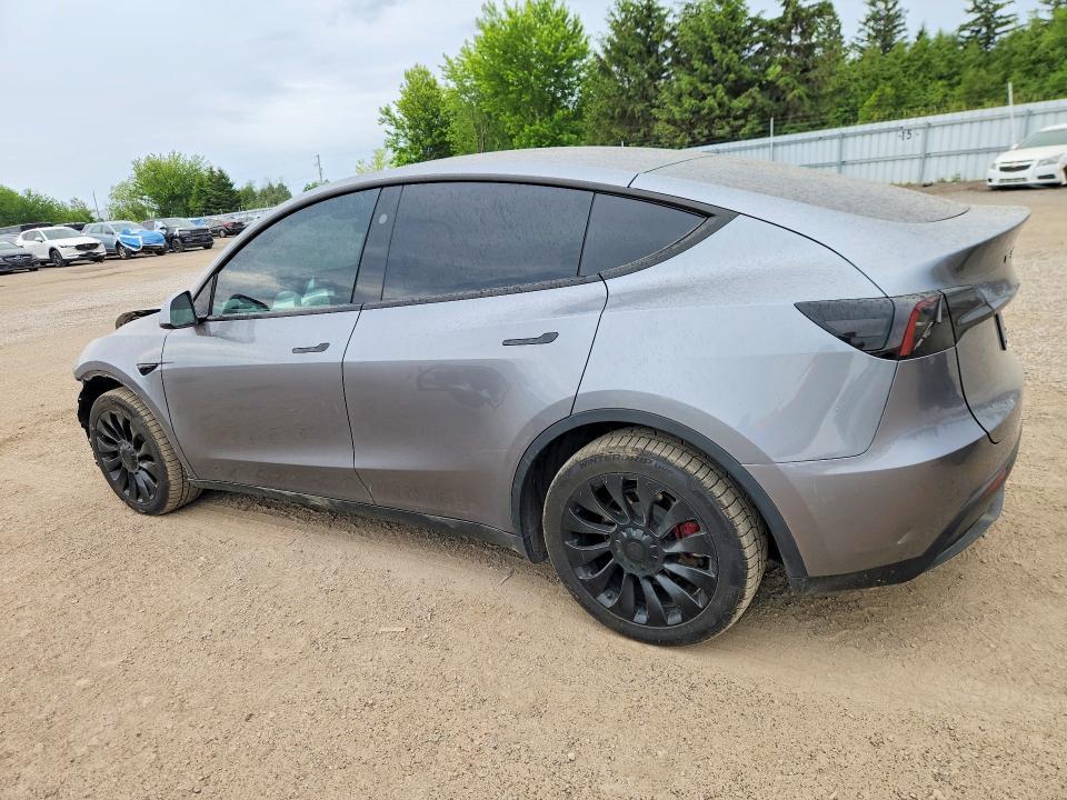 2024 Tesla Model y
