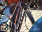 2025 Harley-Davidson Flhxse