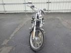 2005 Harley-Davidson Fxdwgi
