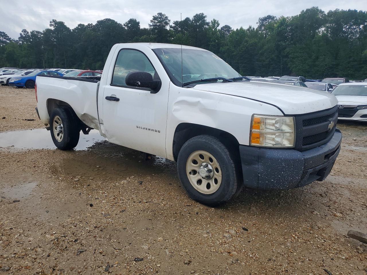 2010 Chevrolet Silverado C1500