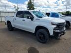 2019 Chevrolet Silverado K1500 LT Trail Boss