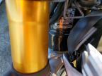 2025 Triumph Speed Twin 1200