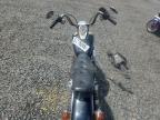 1984 Harley-Davidson Sportster