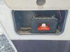 2010 Cameo Carriage Unknown