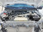 2024 Ford F150 STX
