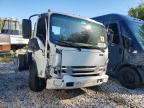 2024 Isuzu NRR