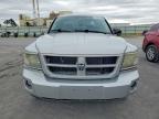 2011 Dodge Dakota SLT