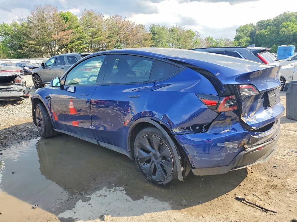 2025 Tesla Model y