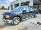 2024 Ford F150 XLT