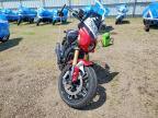 2025 Indian 101 Scout