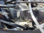 2025 Kawasaki ZX636 K
