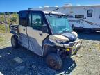 2024 Can-Am Defender Max Limited Cab HD10