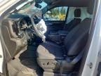2024 Chevrolet Silverado C1500 LT