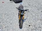 2025 Ducati Scrambler 1100 Sport PRO