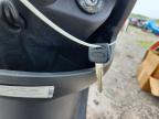 2022 Genuine Scooter Co. Buddy 125