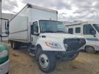 2024 International MV607 BOX Truck