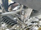 2024 Harley-Davidson Fltrx