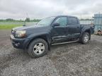 2009 Toyota Tacoma Double Cab