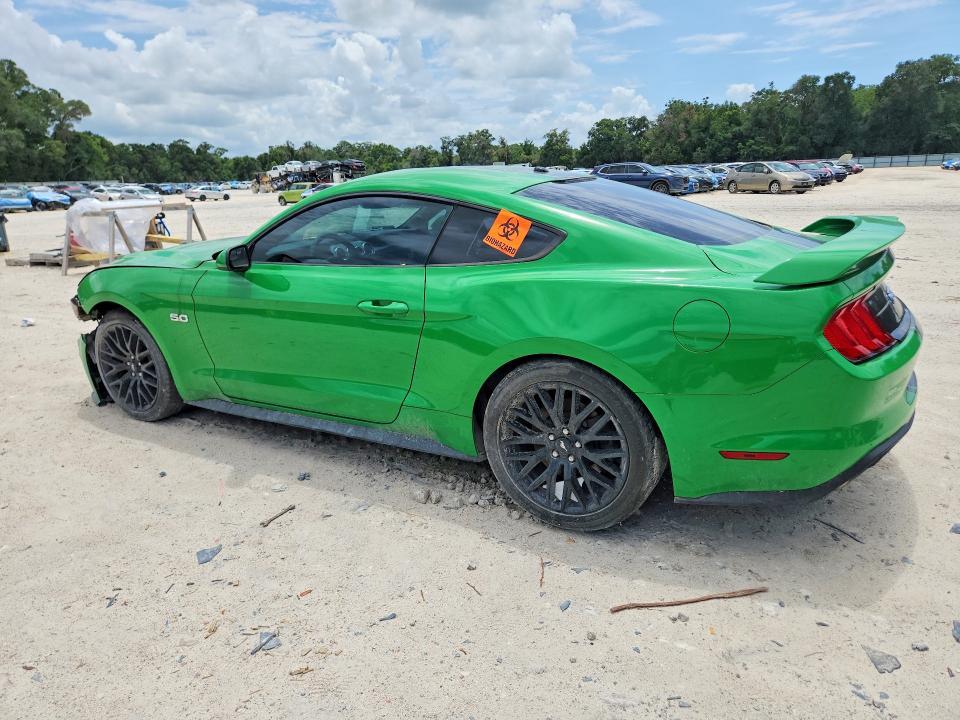 2019 Ford Mustang gt