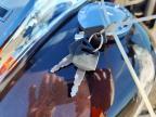 2011 Harley-Davidson Flhr
