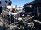2019 Ptrb 2019 Peterbilt 567-Semi Truck