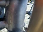 2012 Ducati Monster 1110