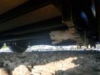 2026 Covered Wagon CW8.5X24TA3 Enclosed Cargo Trailer