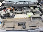 2024 Ford F150 XLT