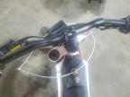2024 E-Bike Alpine Stars
