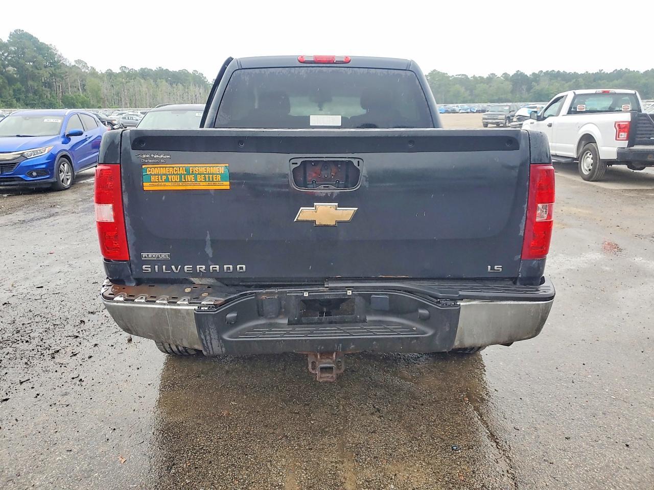 2010 Chevrolet Silverado K1500 LS