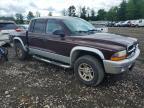 2004 Dodge Dakota Quad SLT