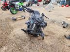 2020 Kawasaki EN650 D