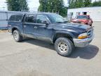 2004 Dodge Dakota Quad SLT