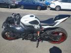 2024 Kawasaki ZX636 K