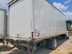 2020 International MV607 BOX Truck