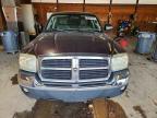 2005 Dodge Dakota Quad SLT